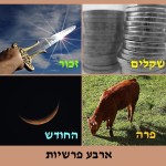 לפרשת החודש