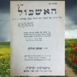 עשו כנפיים לתורה / הרב שמשון פוג...