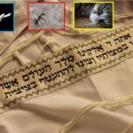 חוקים ונסים