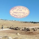 מסיפורי החסידים על עליית-נשמה / ...
