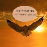 כשיש שמחה אין חסר מאומה, שהוא כמ...