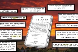 חלקת צבי