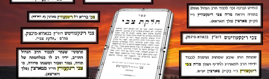 חלקת צבי