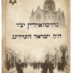 ביאור האדמור ה'אמרי חיים' להנהג...